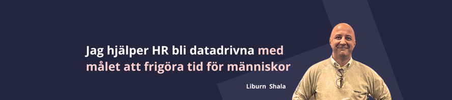 Liburn banner