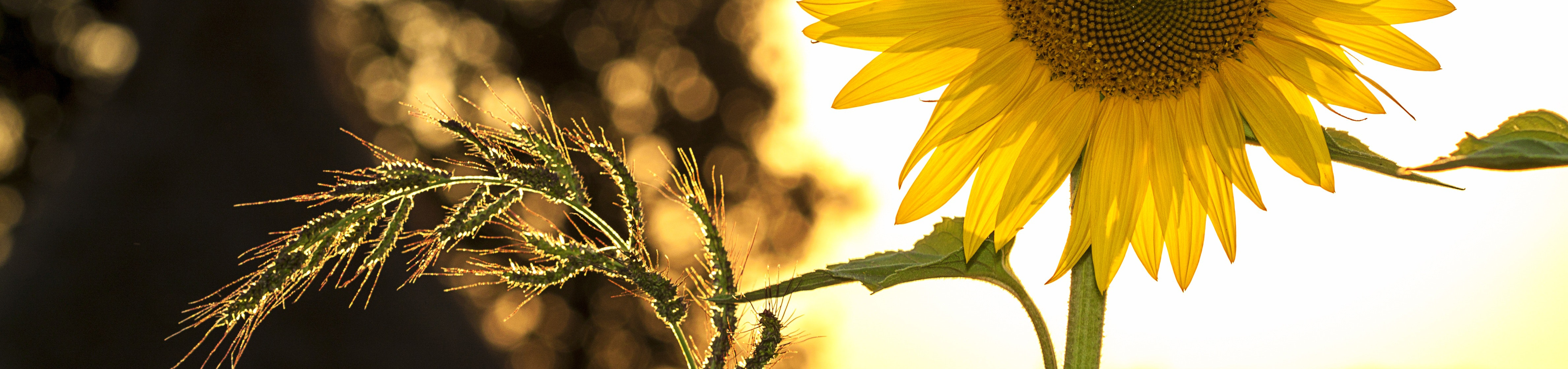 sommarrekrytering, det är en utmaning för många kommuner att rekrytera till sommarjobben. 